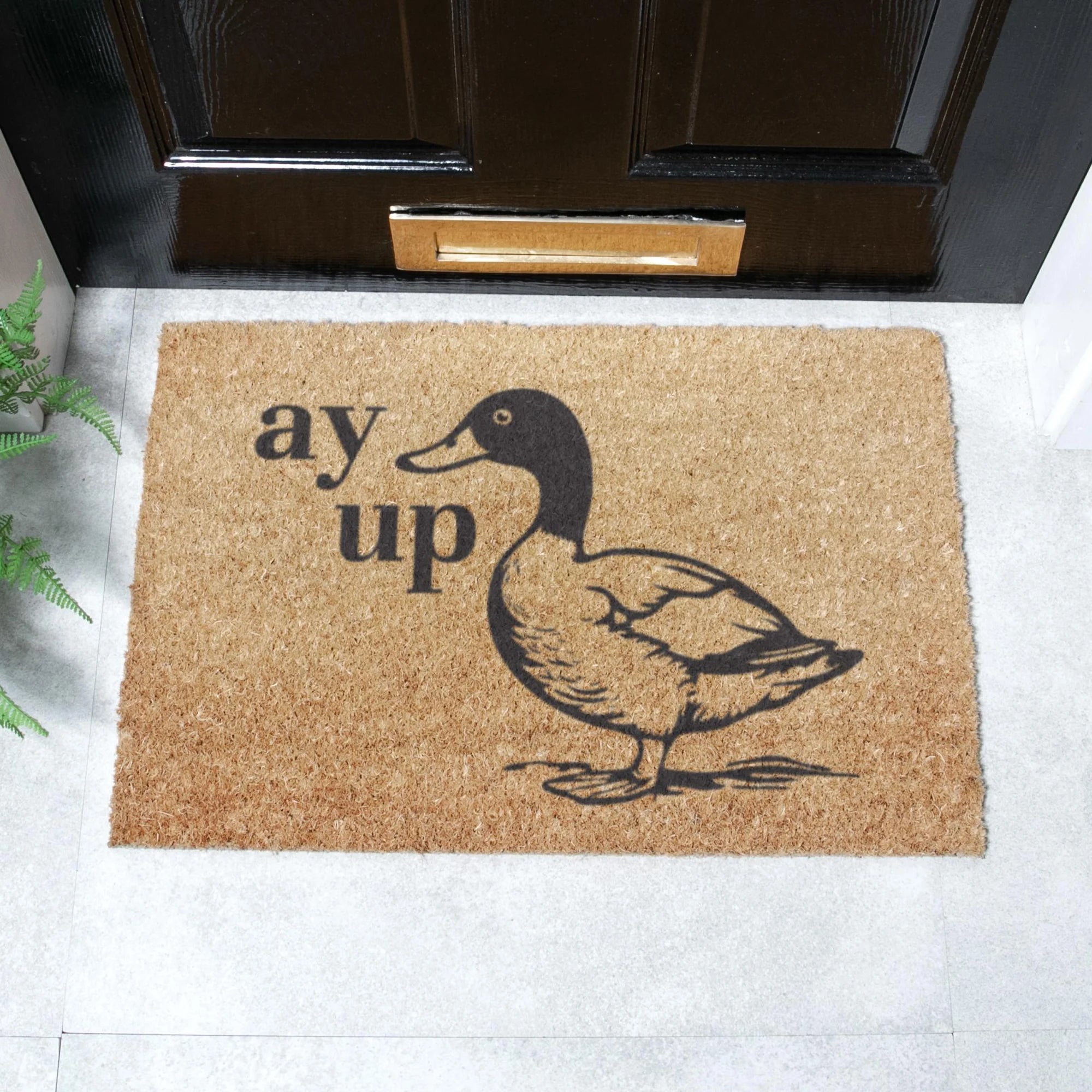Ay Up Duck Doormat