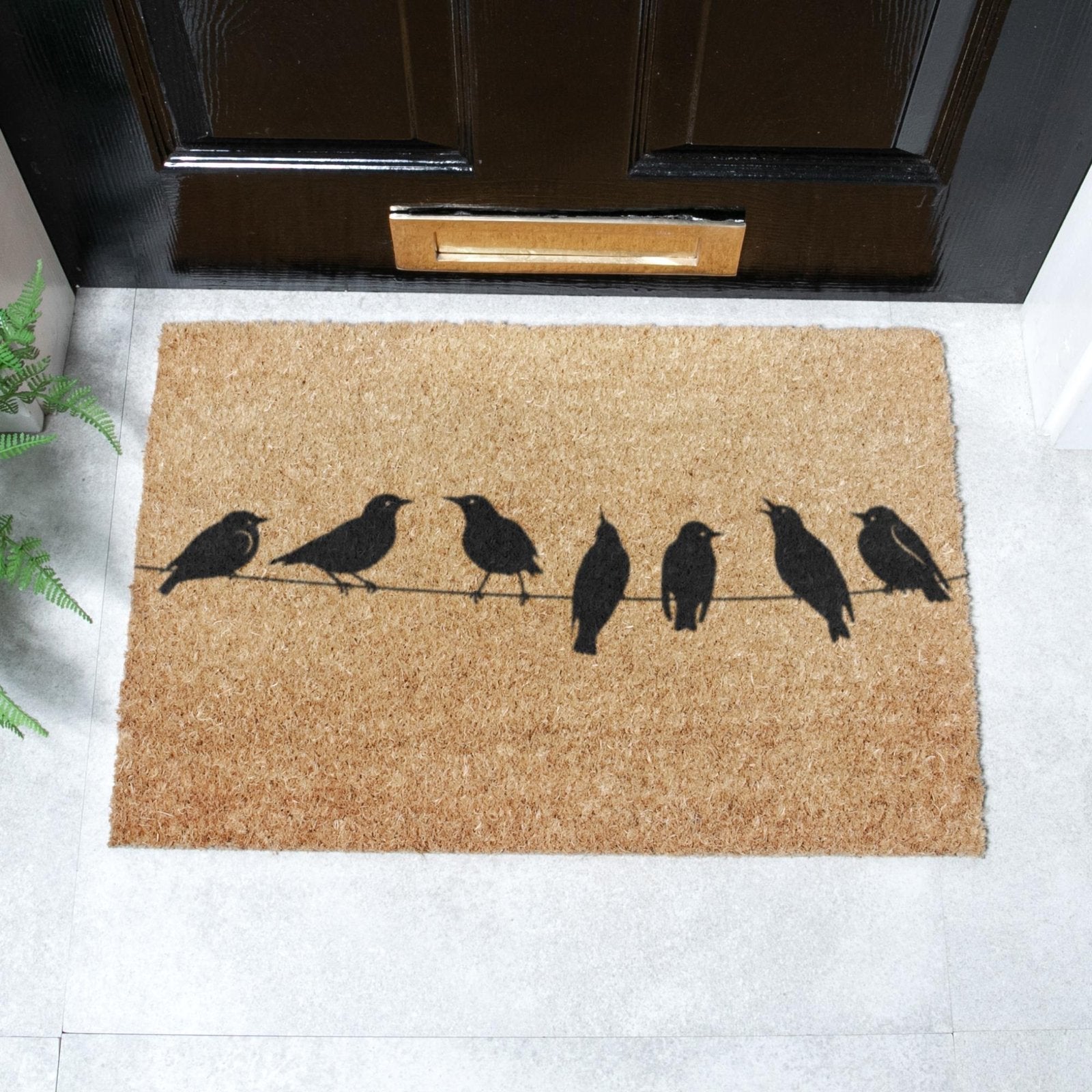 Birds On Wire Doormat