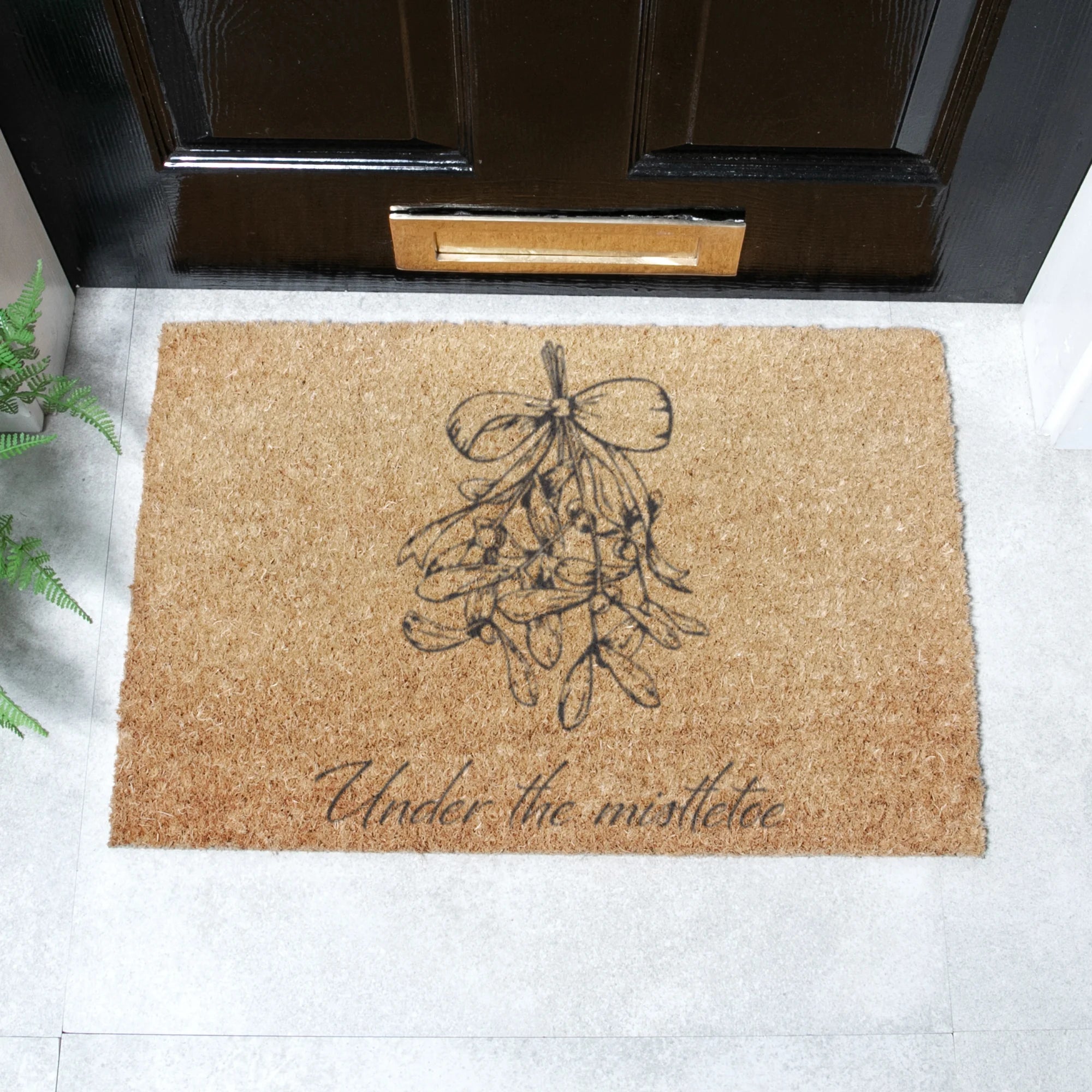 Mistletoe Lines Coir Doormat