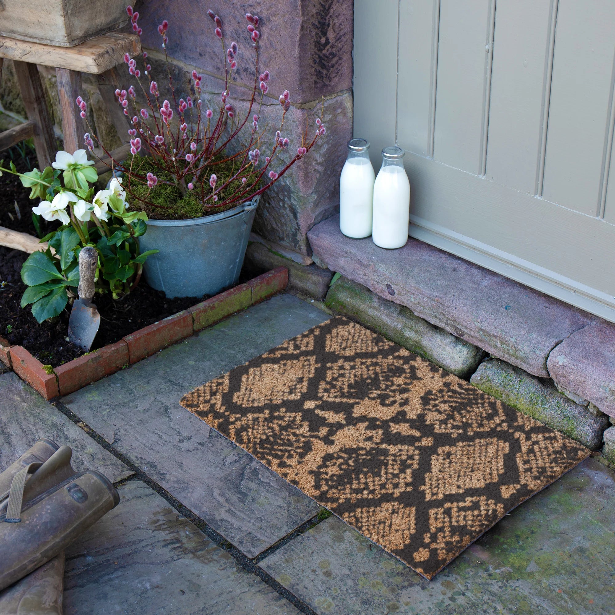 Snake Print Doormat (60 x 40cm)