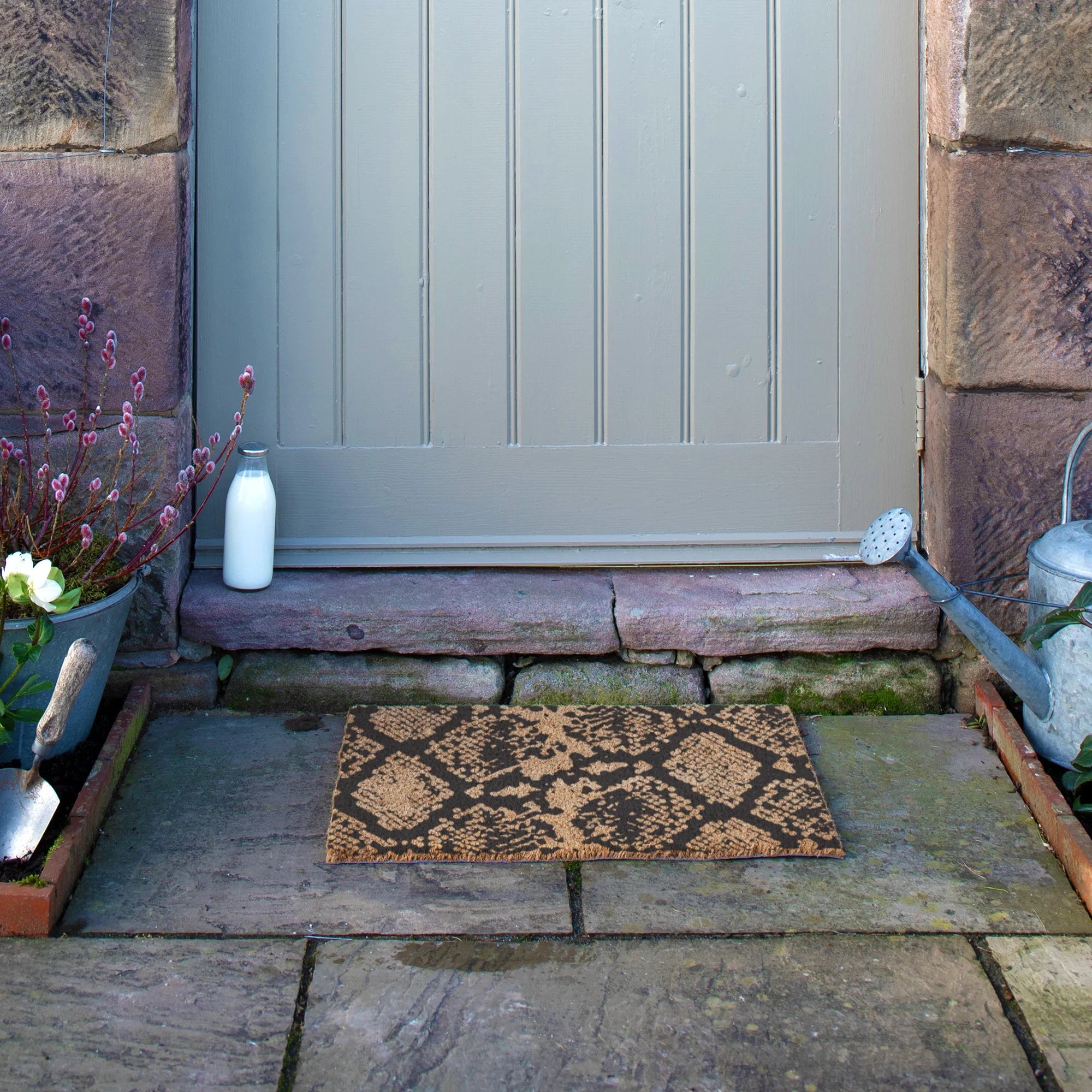 Snake Print Doormat