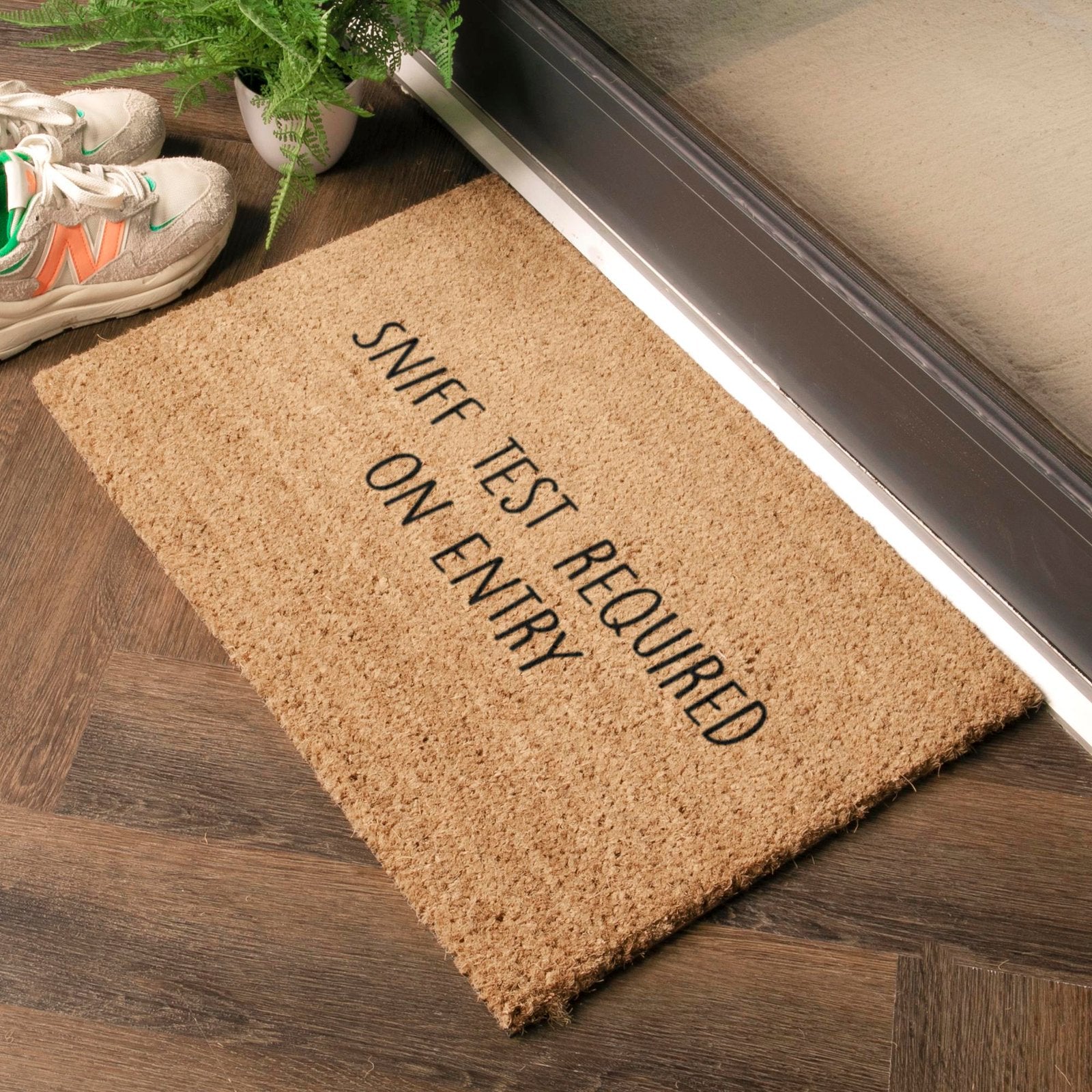 Sniff Test On Entry Doormat