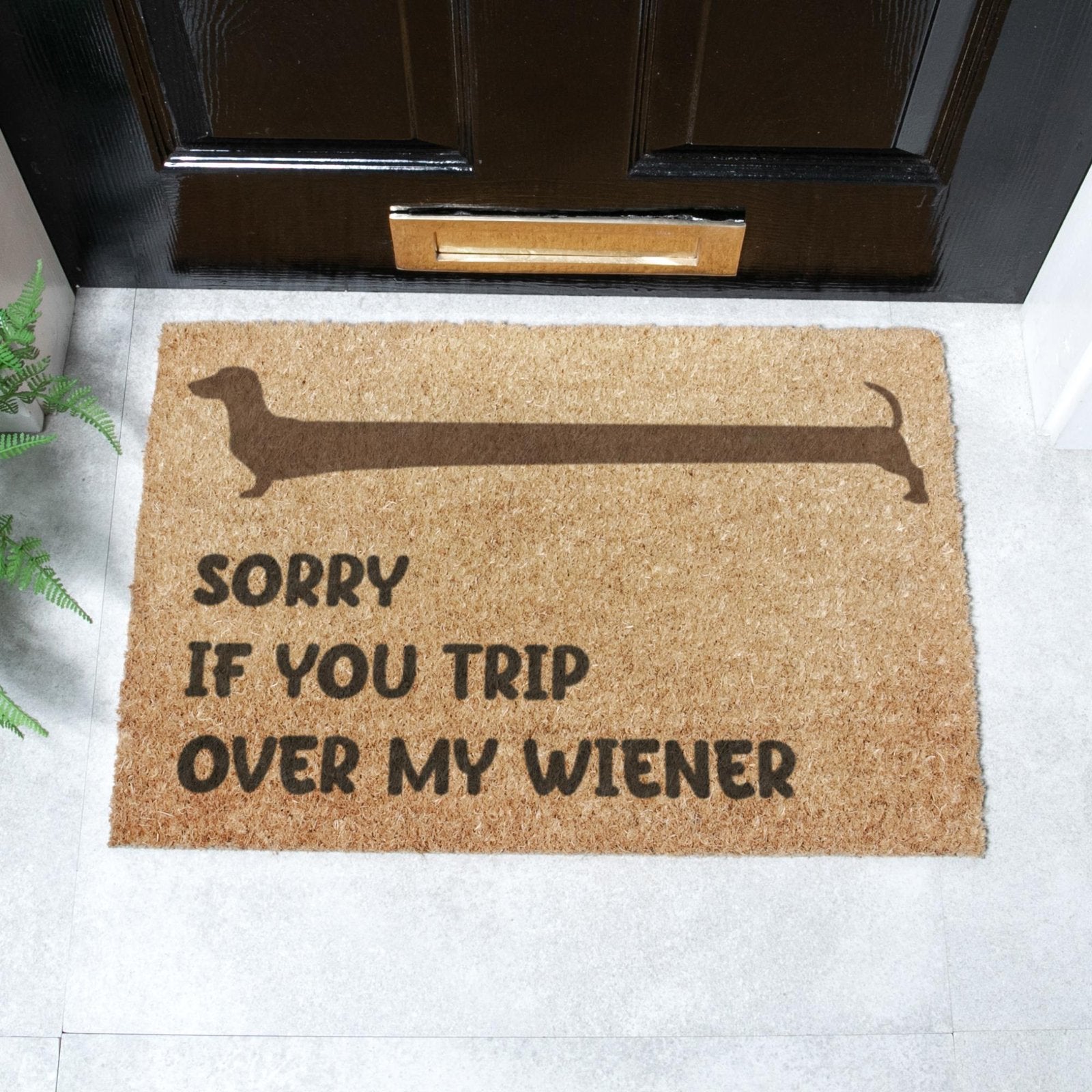 Sorry If You Trip Over My Wiener Doormat