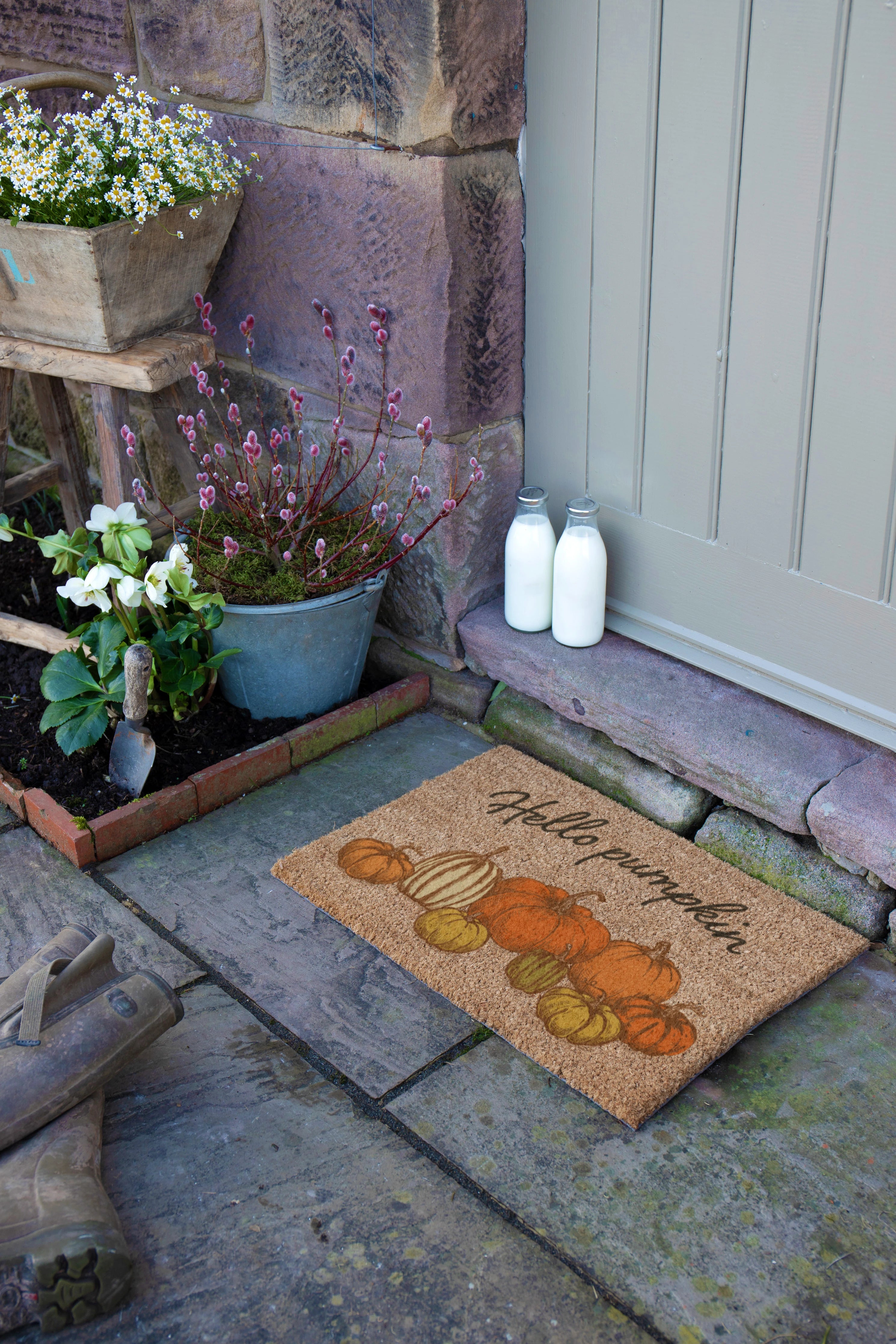 Pumpkins Hey Pumpkin Doormat (60x40cm)