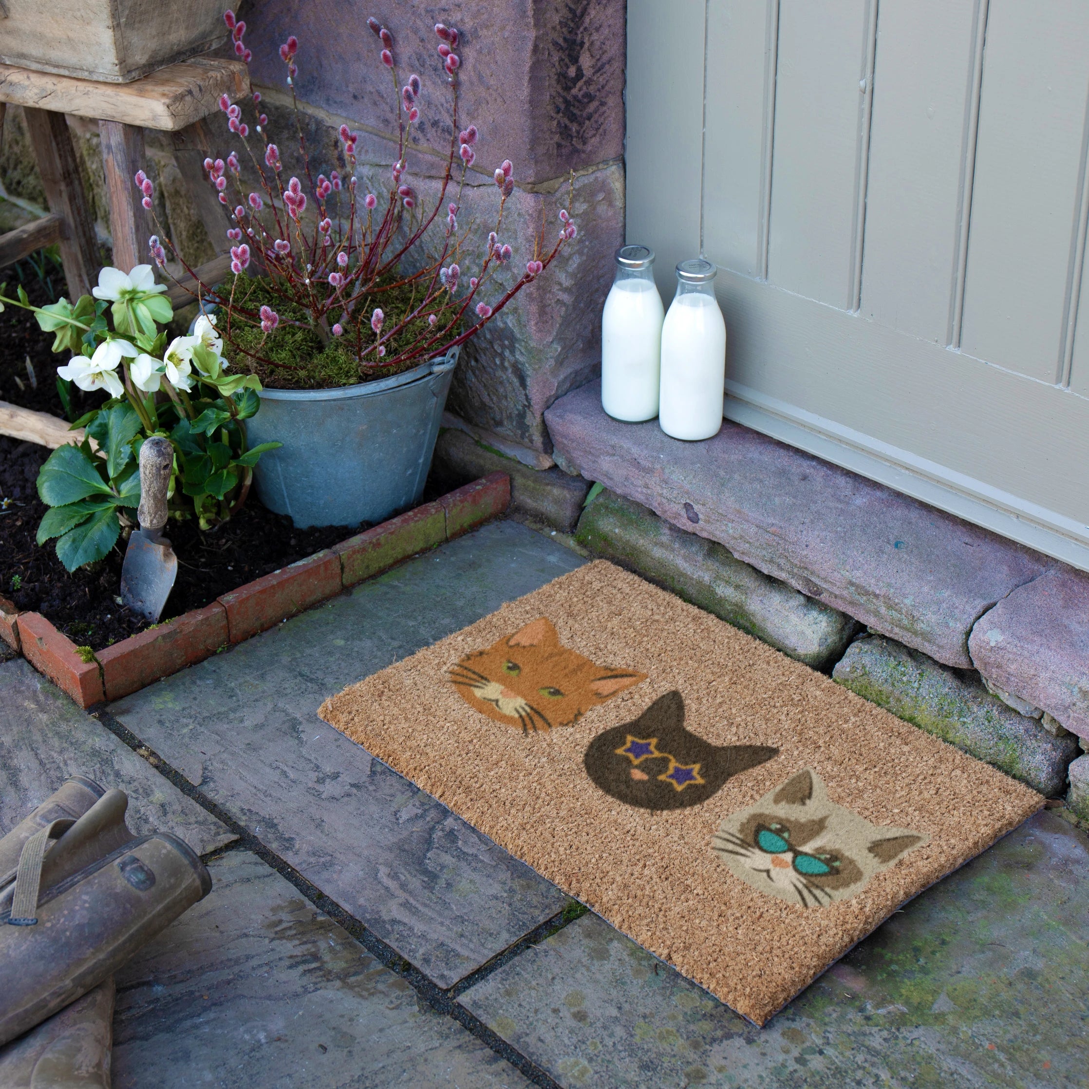Cool Cats Coir Doormat