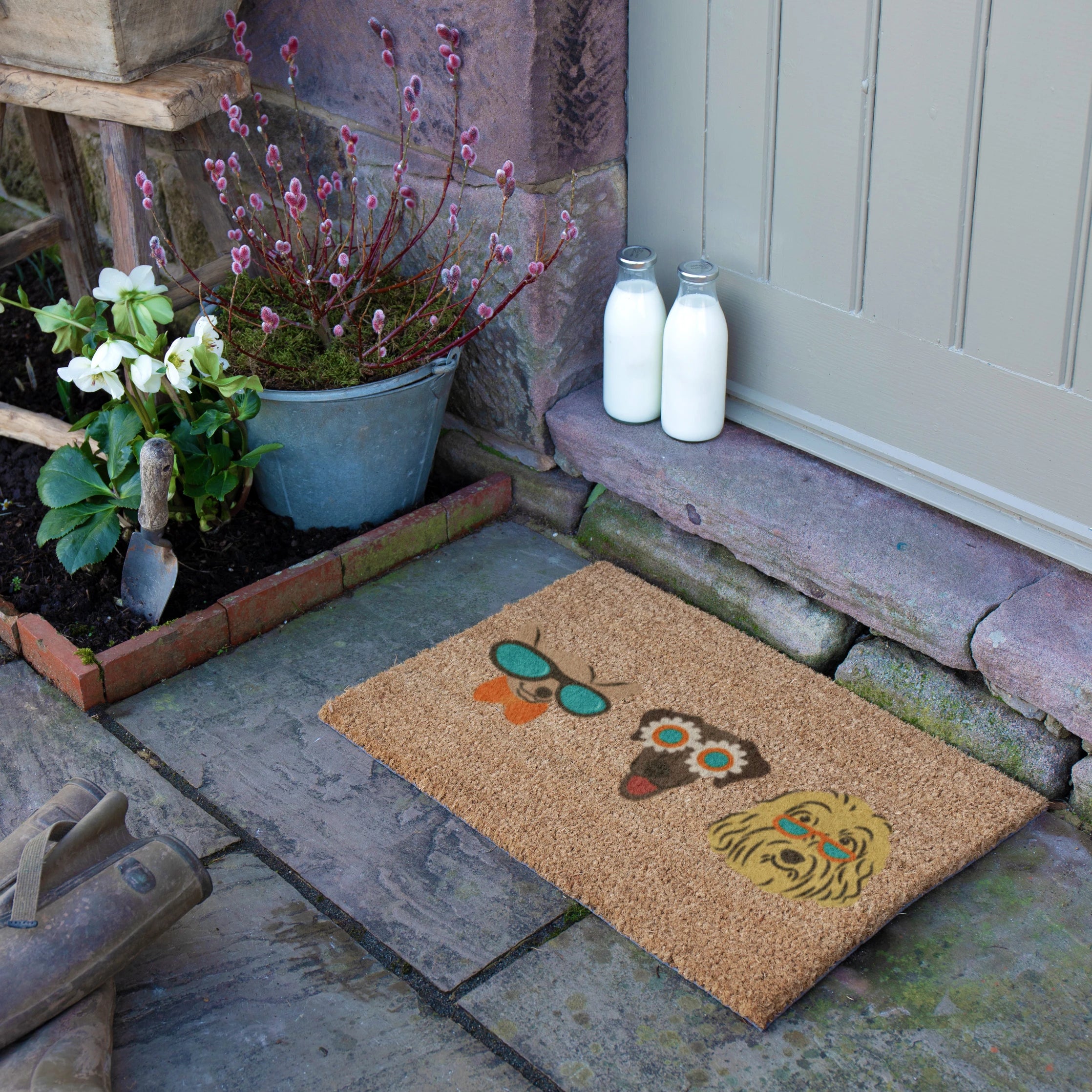 Cool Dogs Coir Doormat