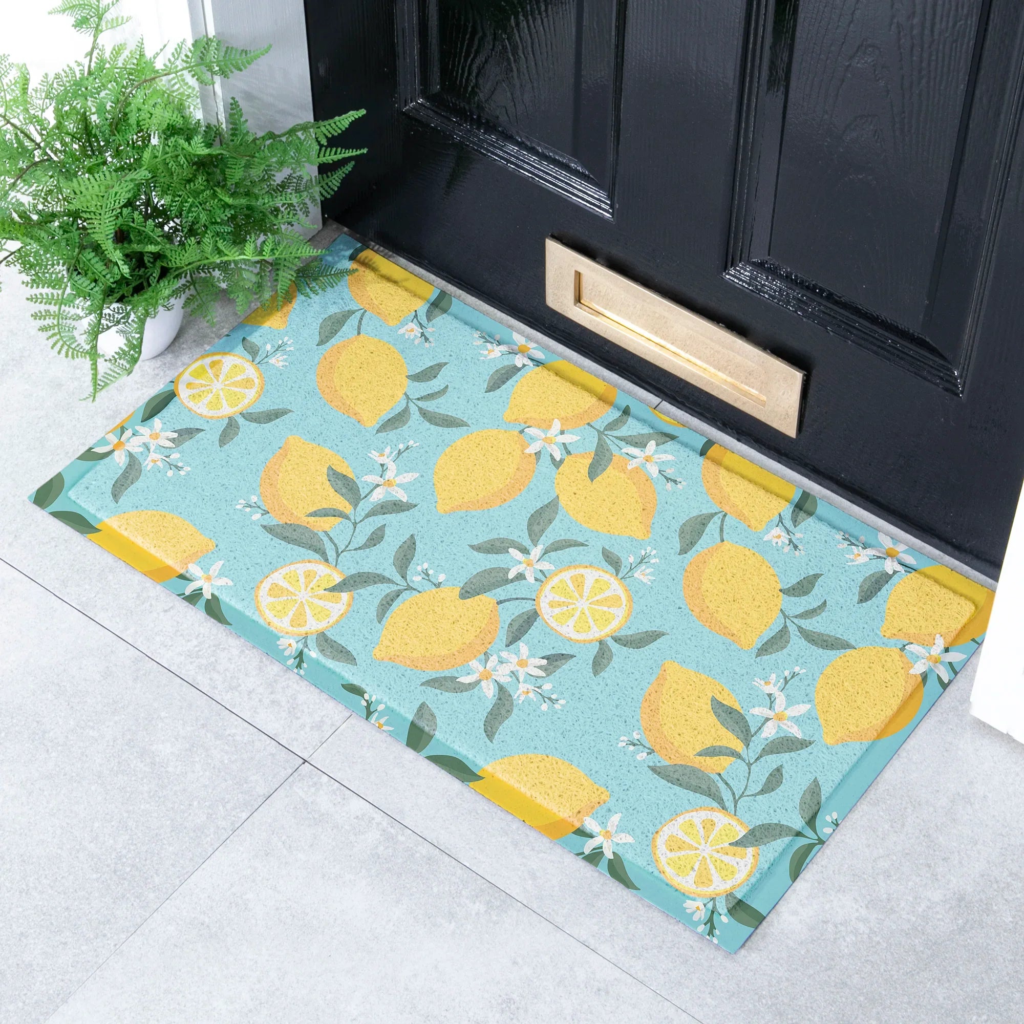 Lemons on Blue Doormat