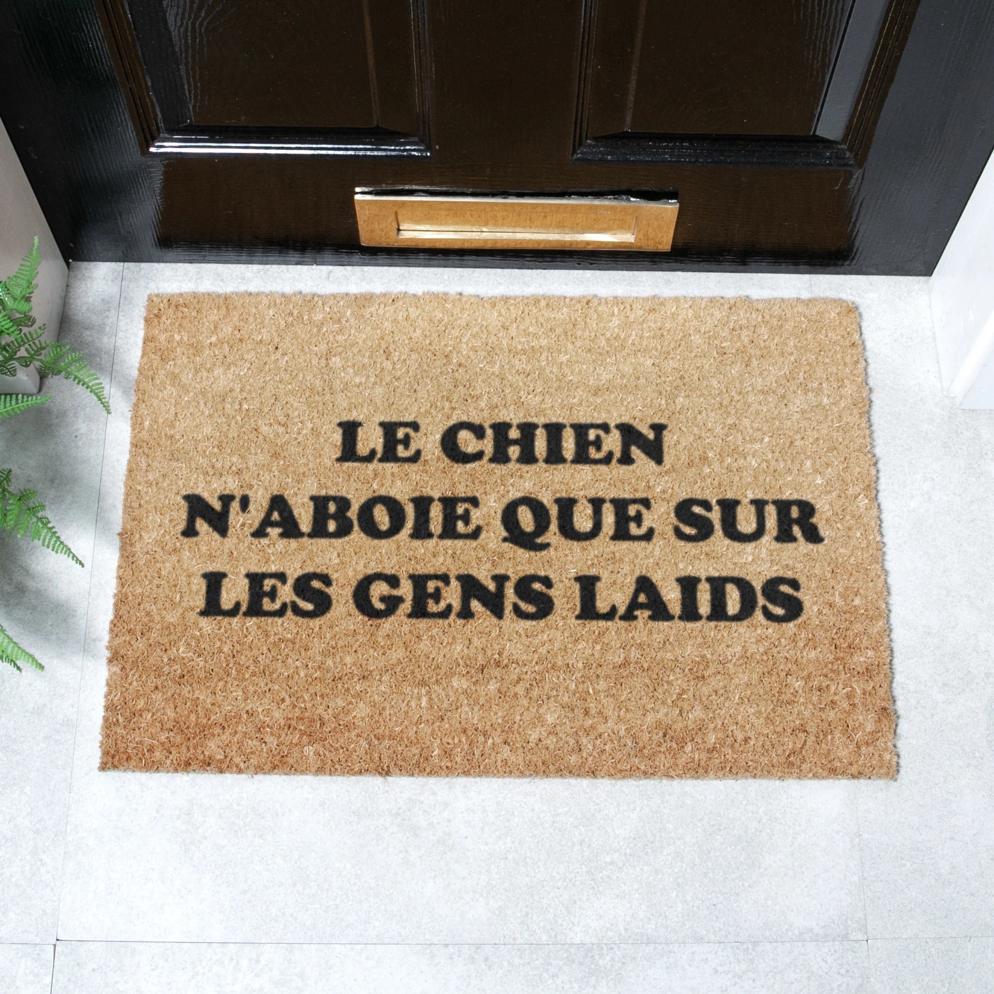 Chien Coir Doormat