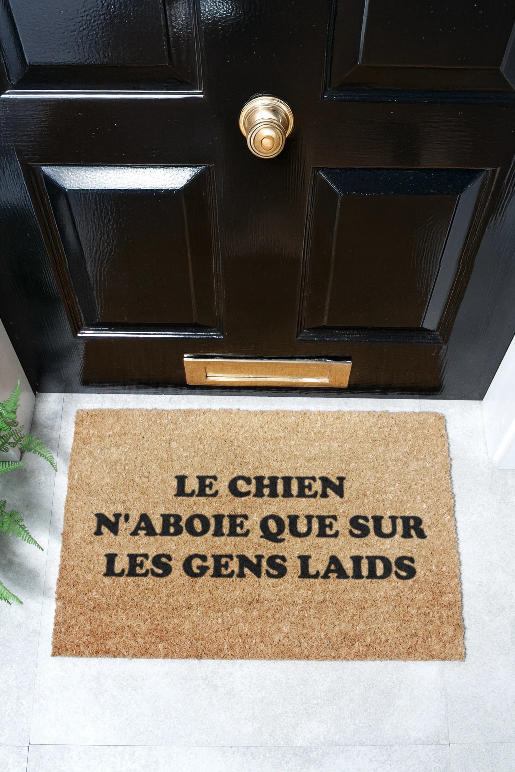 Chien Coir Doormat