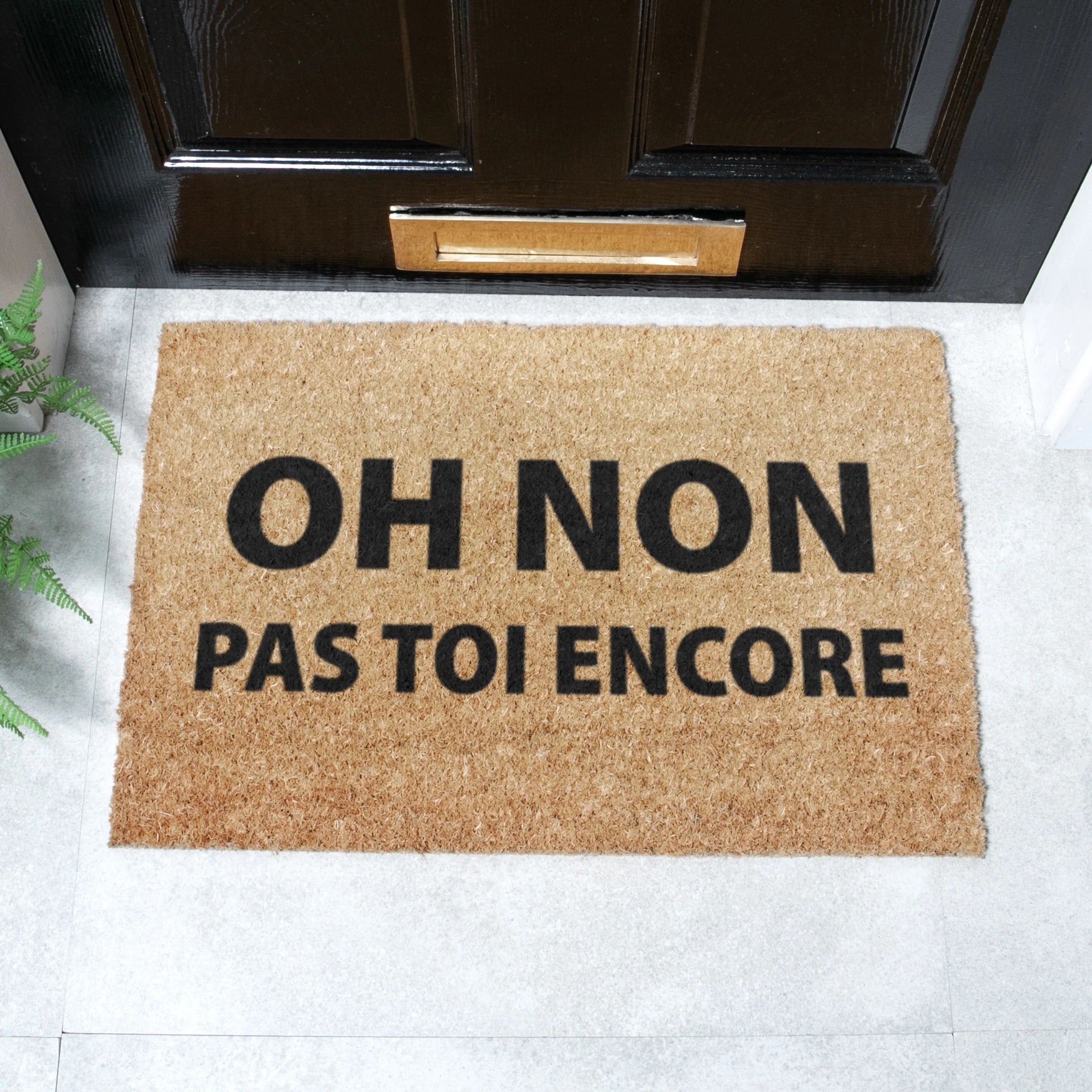 Oh Non Pas Toi Encore Coir Doormat