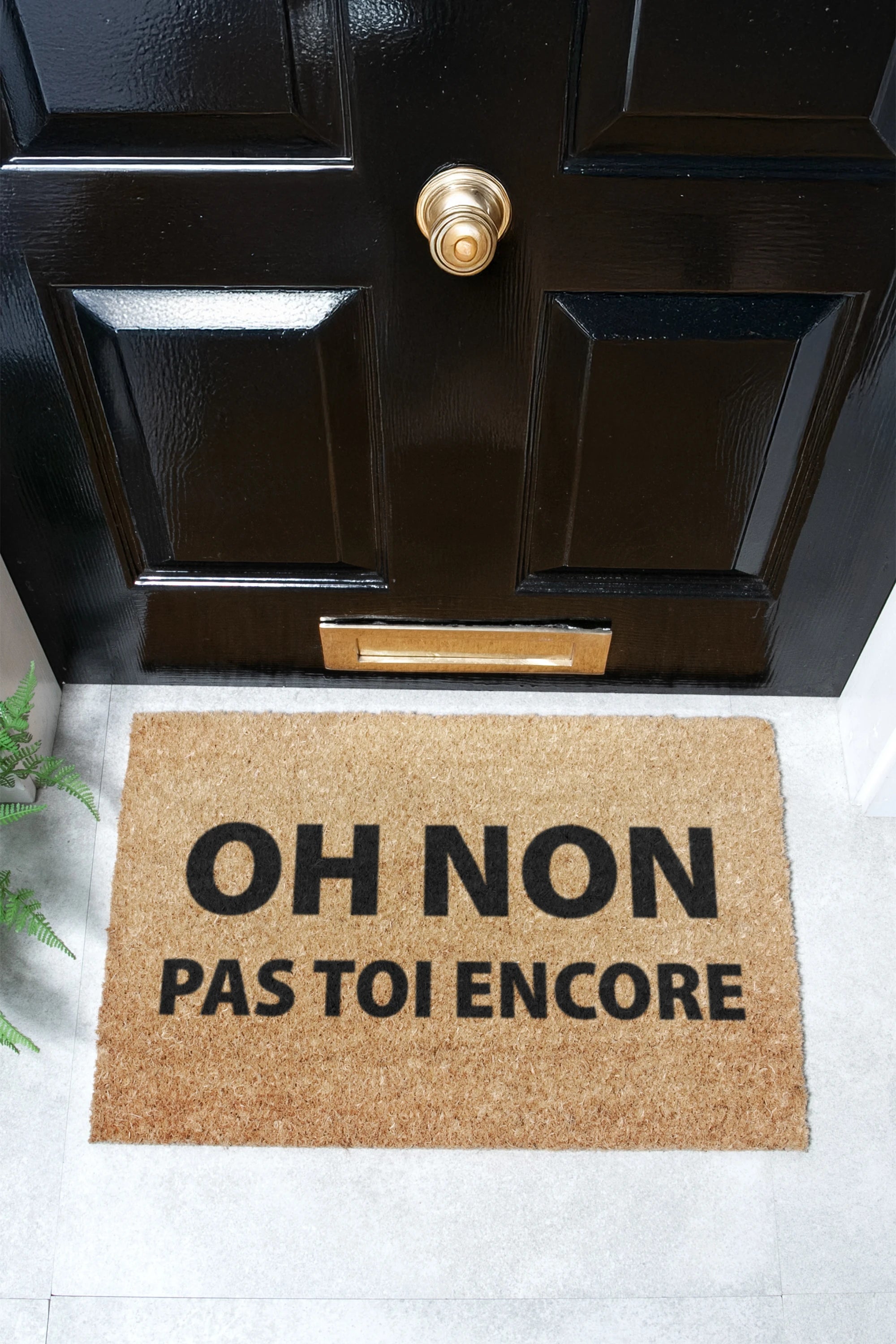Oh Non Pas Toi Encore Coir Doormat