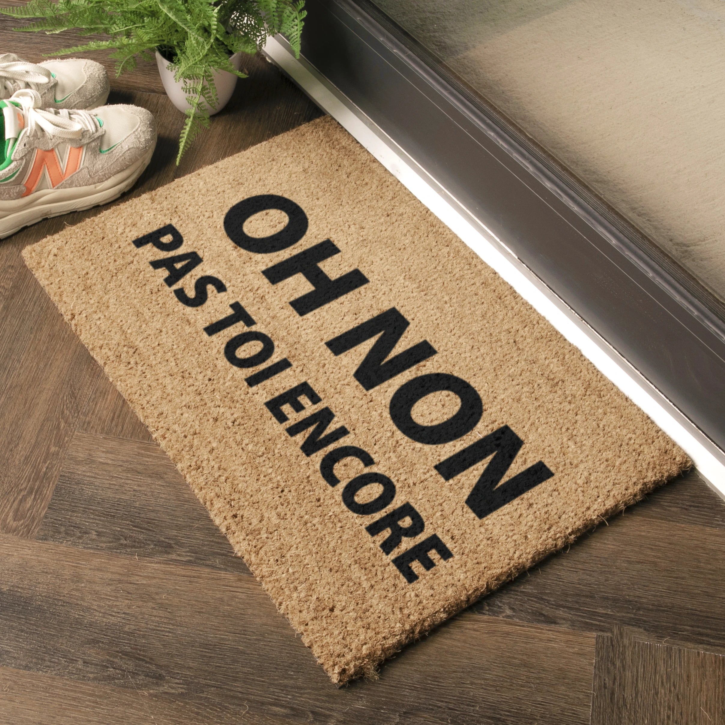 Oh Non Pas Toi Encore Coir Doormat