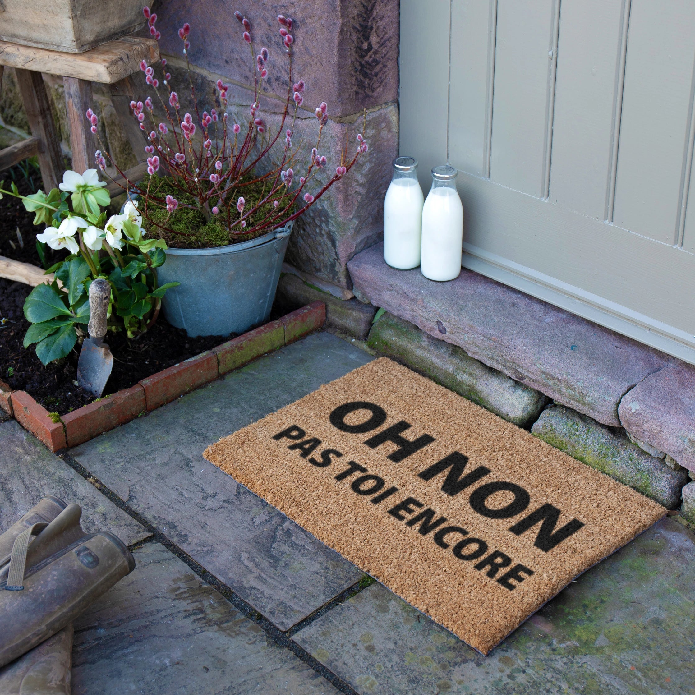 Oh Non Pas Toi Encore Coir Doormat