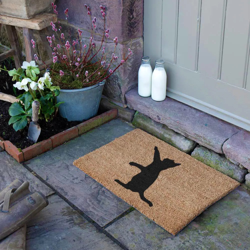 Cat Doormat