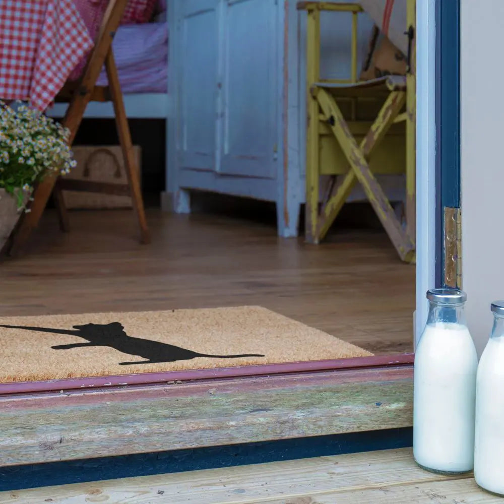 Cat Doormat