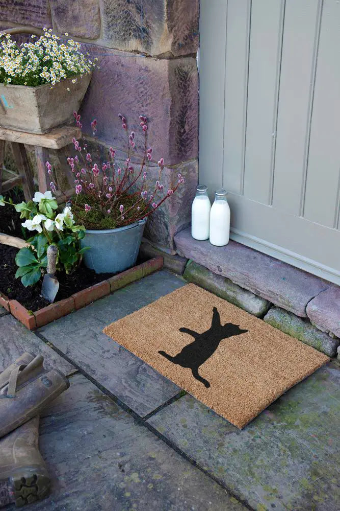 Cat Doormat