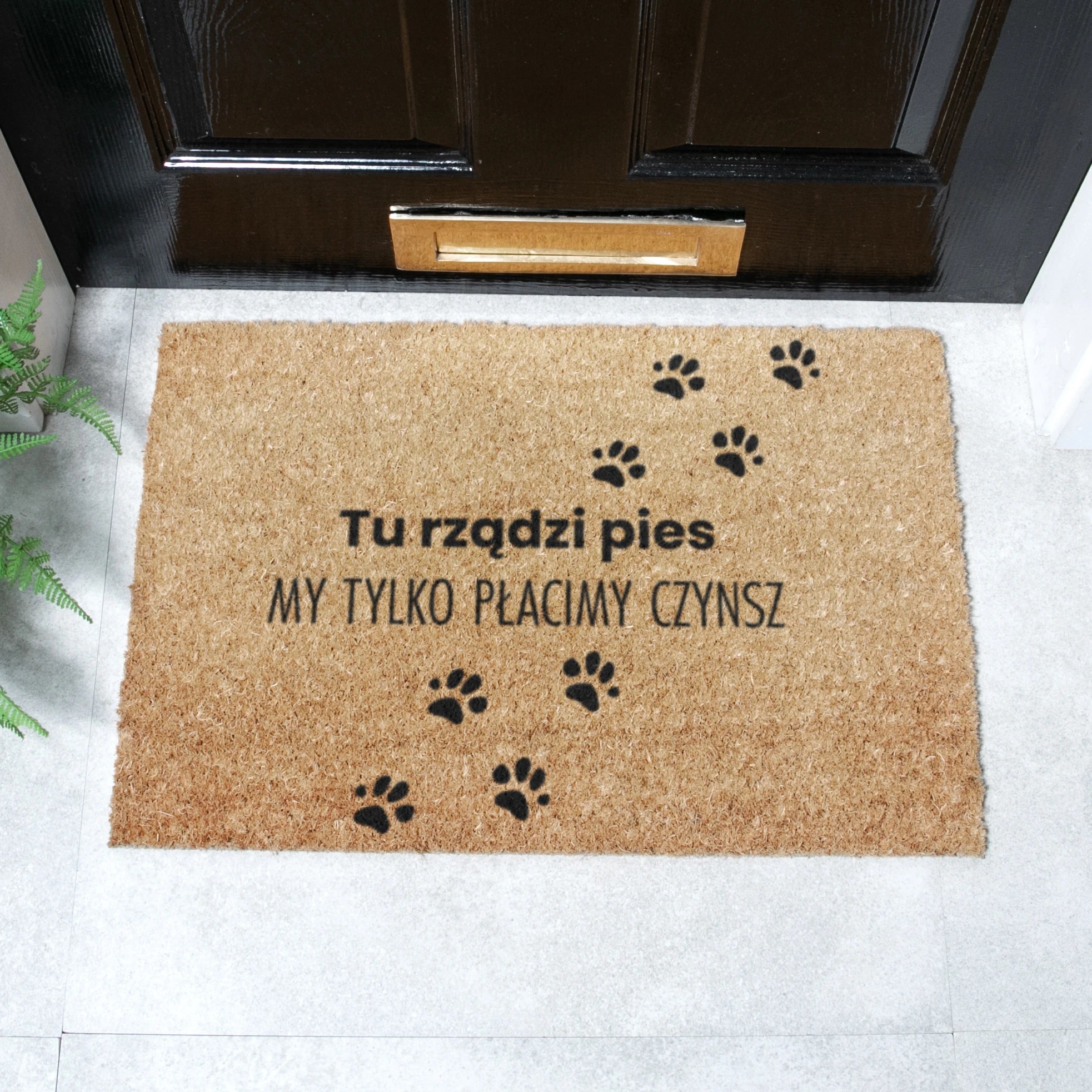 Tu rzadzi pies Coir Doormat