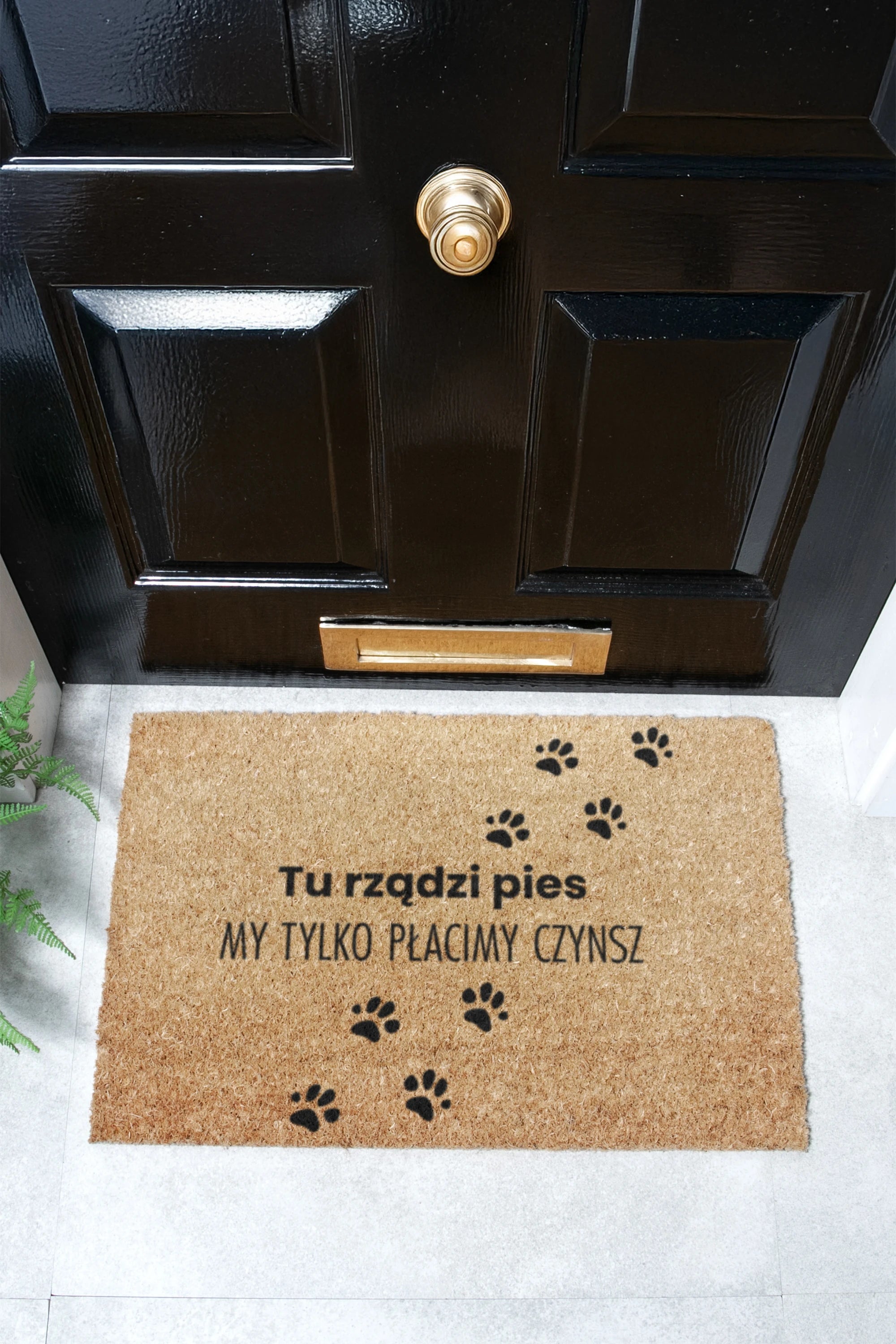 Tu rzadzi pies Coir Doormat