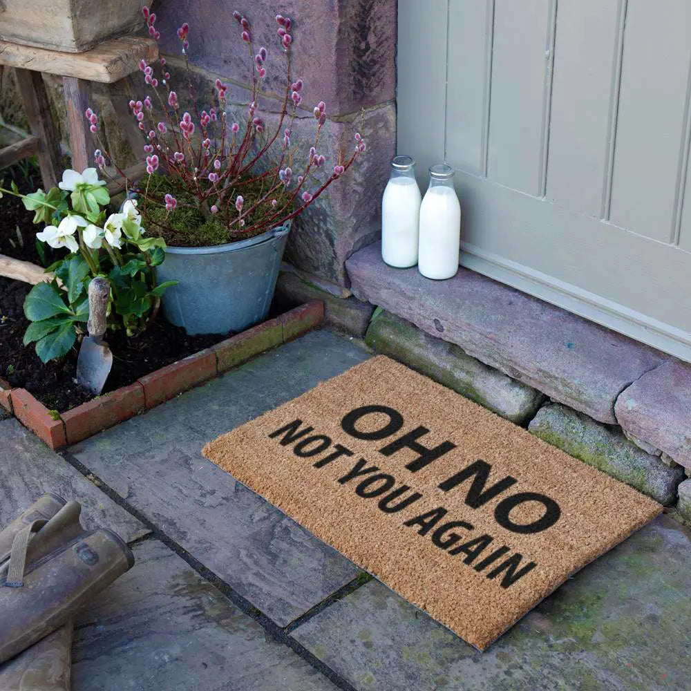 Not You Again Doormat