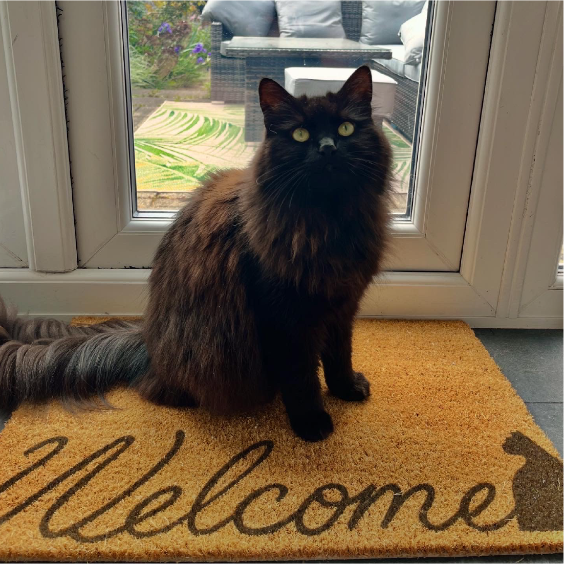 Welcome Cat Doormat