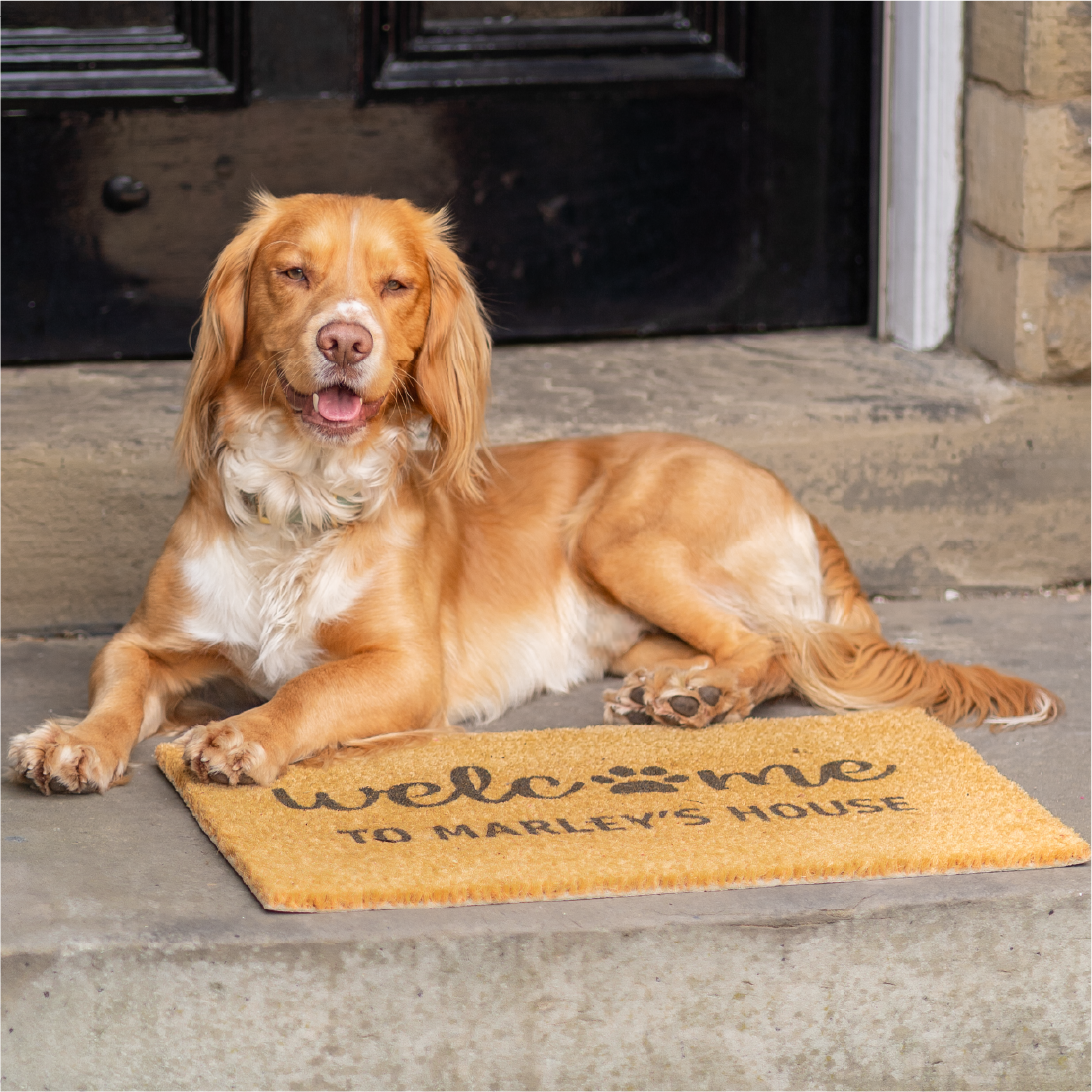 Welcome To Dogs House Personalised Doormat (60 x 40cm)