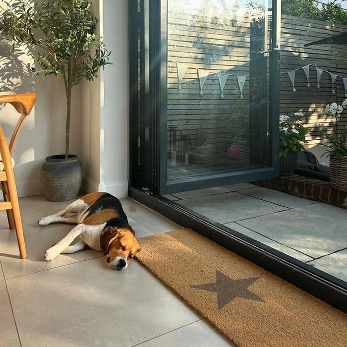 Grey Star Double Doormat