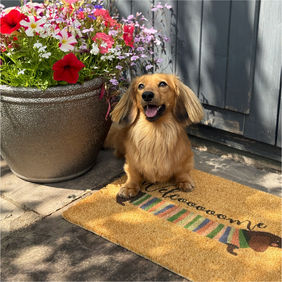 Artsy Mats