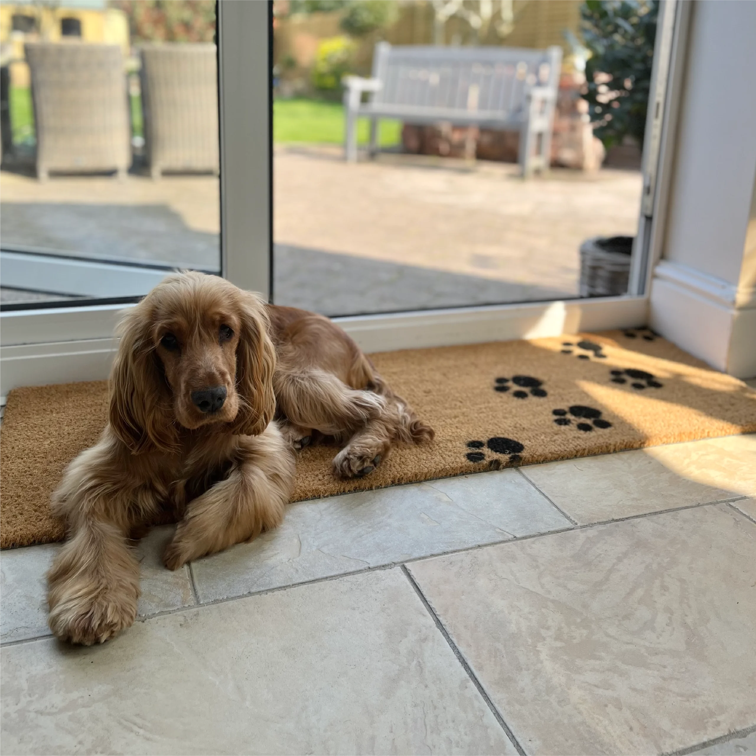 Paw Prints Patio Doormat