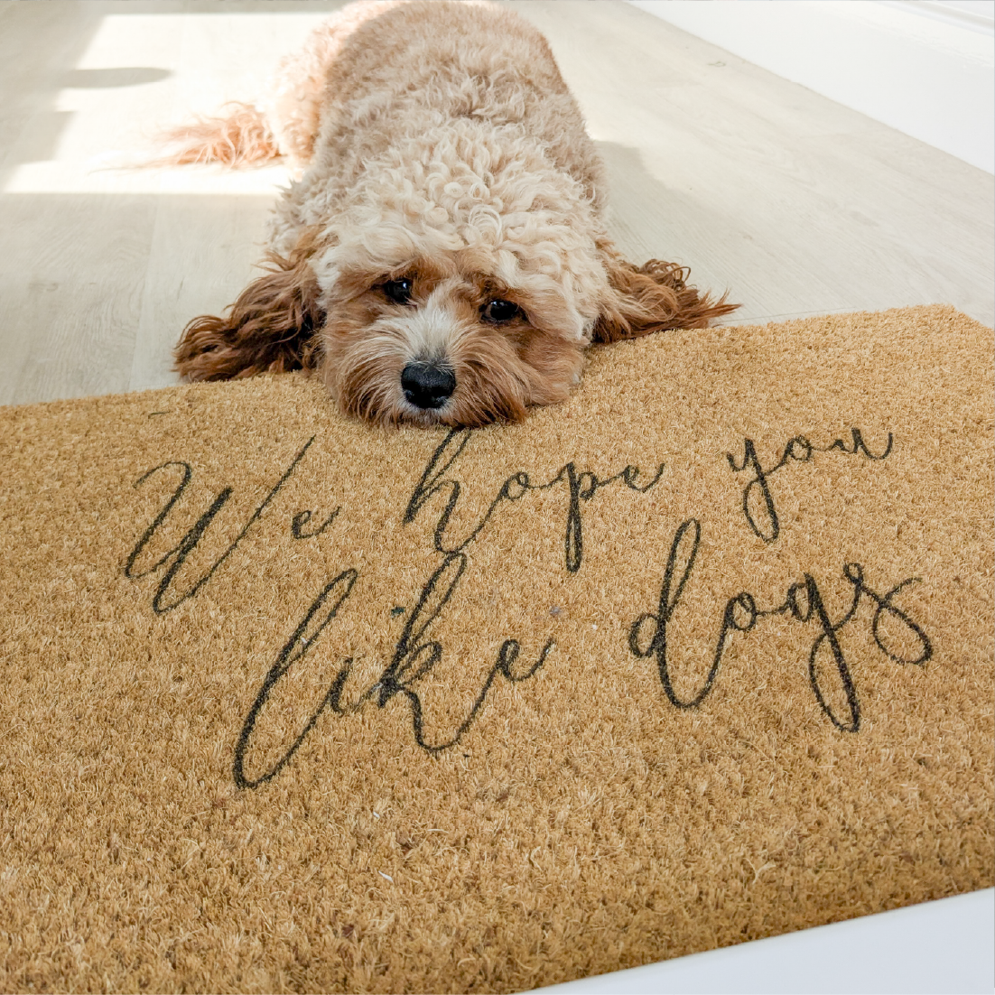 We Hope You Like Dogs Doormat