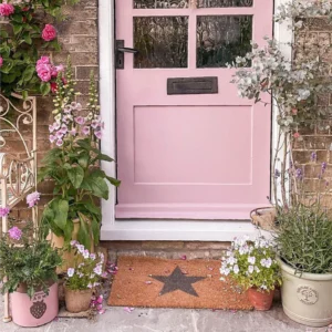 acorncottage grey star