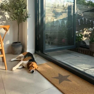 hollybushhome grey star patio