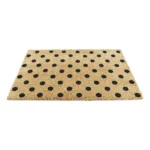 IMG DOTS 10 2