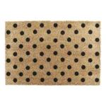 IMG DOTS 12 2