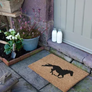 IMG HORSE 5 2
