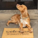 wagglewithmarley