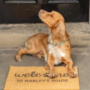 wagglewithmarley