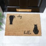 6040 CATSHELLOBYE 1