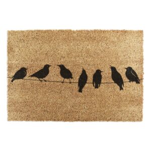9060 BIRDSONWIRE 5