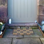 6040 BLUEPETALCHECK 8.jpg