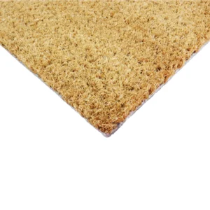 6040 FLIPFLOPS 7.webp