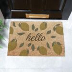 6040 HELLOLEMONS 1.jpg