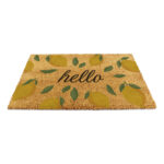 6040 HELLOLEMONS 11