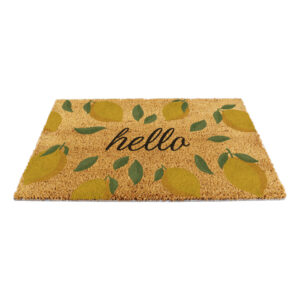 6040 HELLOLEMONS 11