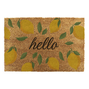 6040 HELLOLEMONS 13