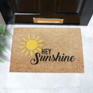 6040 HEYSUNSHINE 1.jpg