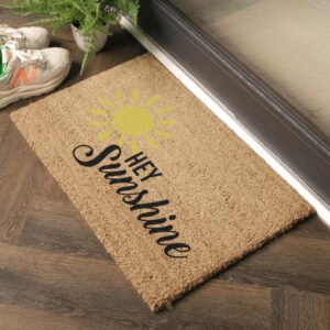 6040 HEYSUNSHINE 2.jpg