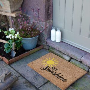 6040 HEYSUNSHINE 6.jpg