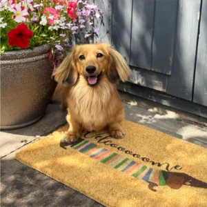 @mr.spennysaus sausage dog doormat