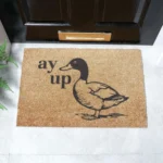 6040 AYUPDUCK 1.webp