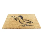 9060 AYUPDUCK 10.webp